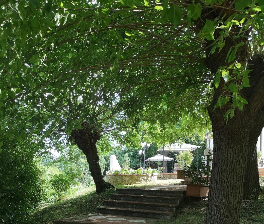 Maison Tuscany Bed&Breakfast Sinalunga Dış mekan fotoğraf