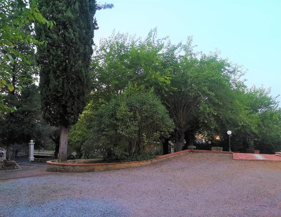 Maison Tuscany Bed&Breakfast Sinalunga Dış mekan fotoğraf