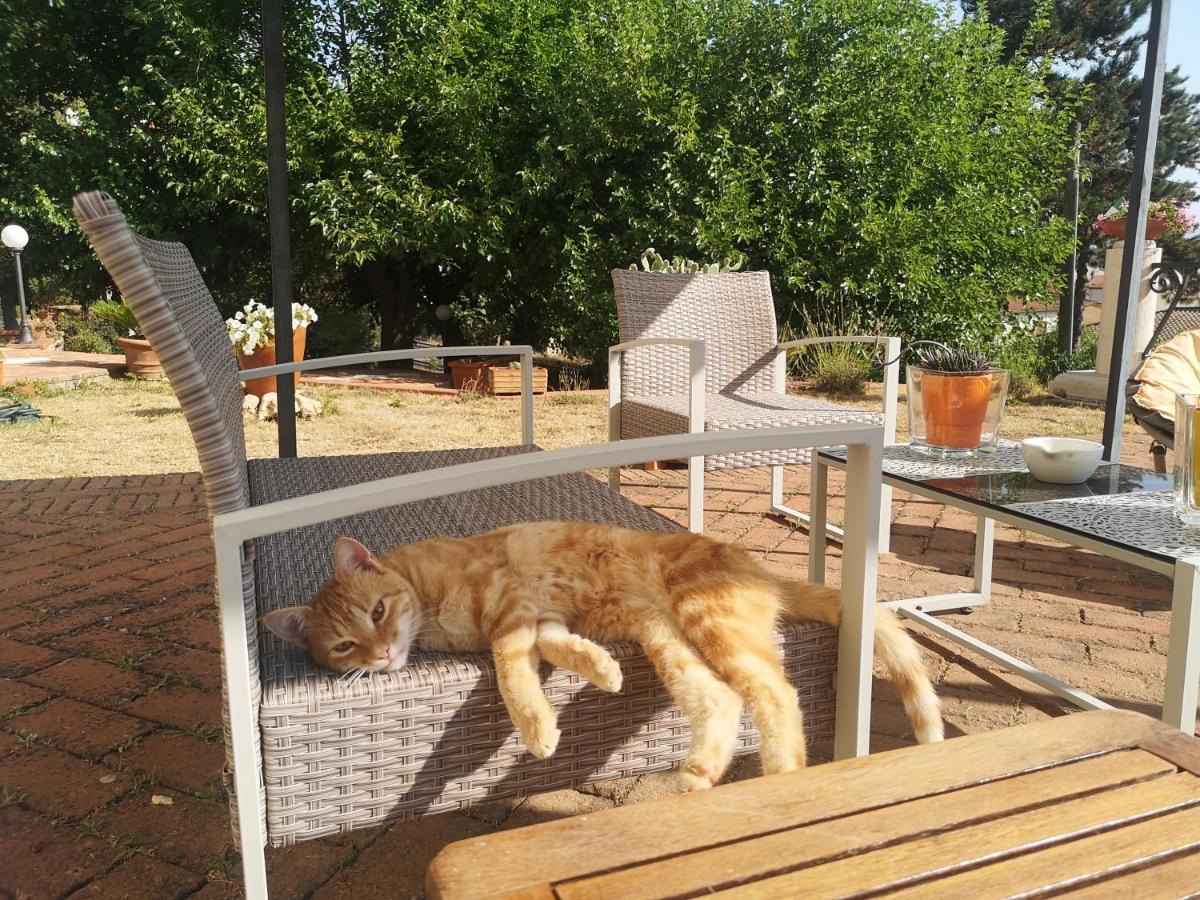Maison Tuscany Bed&Breakfast Sinalunga Dış mekan fotoğraf